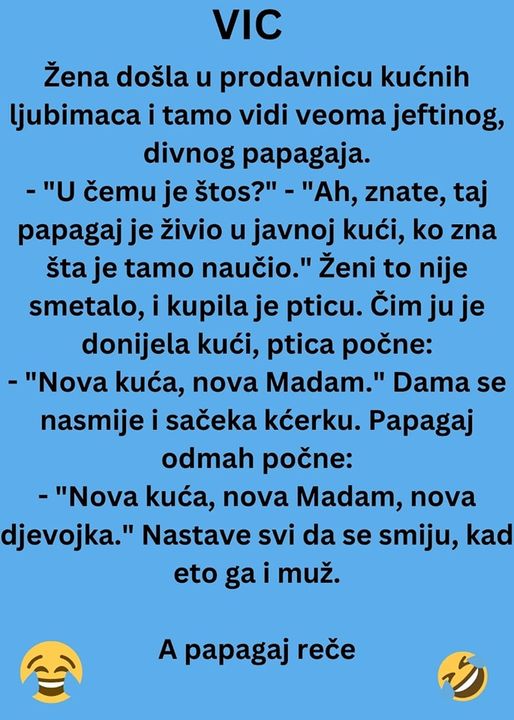 VIC DANA:Žena došla u prodavnicu kućnih ljubimaca i tamo vidi veoma jeftinog